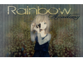 Détails : Rainbow Academy
