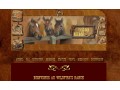 Détails : Horse Dream RPG