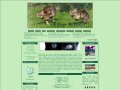 Détails : La guerre des clans RPG