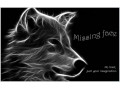 Détails : Missing Face