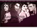 Détails : Magnum Opus