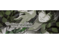 Détails : Etablissement Hisshi