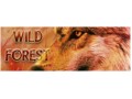 Détails : Wild Forest: Les éléments