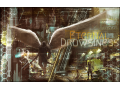 Détails : Eternal Drowsiness