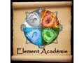 Détails : Element Académie